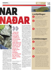 Síða 15