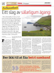 Síða 16