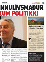 Síða 19
