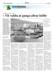 Síða 29