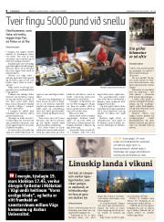 Síða 8