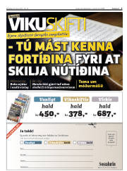 Síða 3
