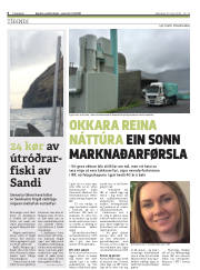Síða 6