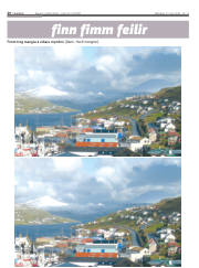 Síða 26