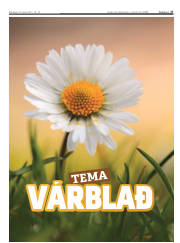 Síða 27