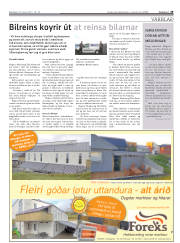 Síða 29