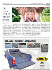 Síða 31