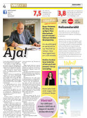 Síða 4