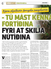 Síða 6