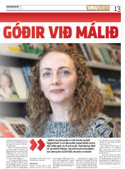 Síða 13