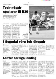Síða 15