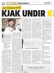 Síða 22