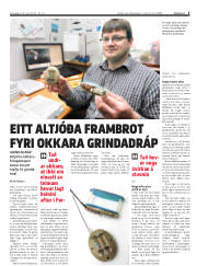 Síða 5