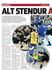 Síða 20
