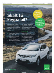 Síða 3