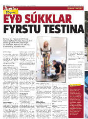 Síða 22