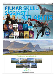 Síða 29