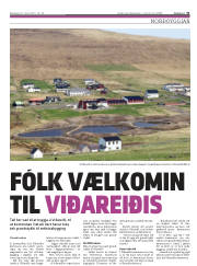 Síða 31