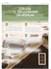 Síða 42
