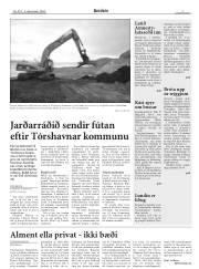 Síða 7