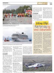 Síða 11