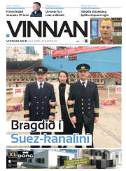 Síða 25