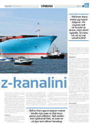 Síða 29