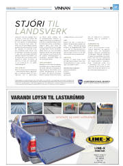 Síða 41