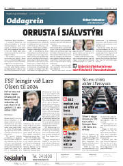 Síða 2