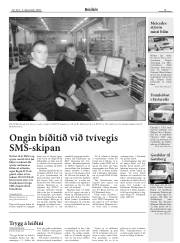 Síða 15