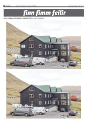 Síða 20