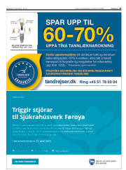 Síða 21