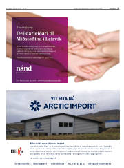 Síða 27