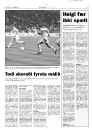 Síða 17