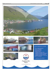 Síða 35
