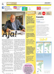 Síða 4