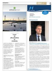Síða 5