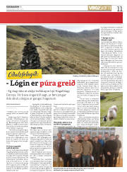 Síða 11