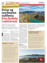 Síða 12