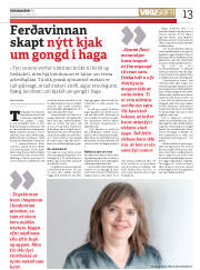 Síða 13