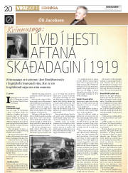 Síða 20