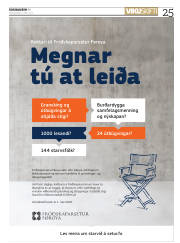 Síða 25