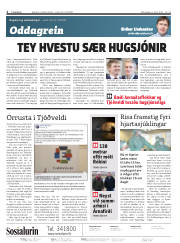 Síða 2