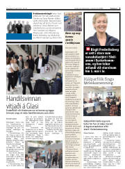 Síða 3