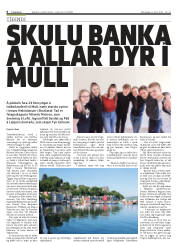 Síða 6