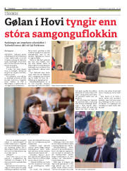 Síða 6