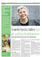 Síða 8