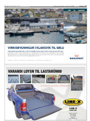 Síða 17