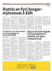 Síða 25