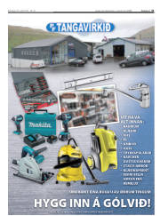 Síða 31